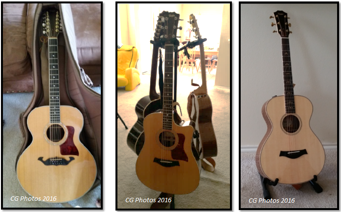 Cathy's twelve string and two six string guitars have a different demonstrations of curves based on body design.